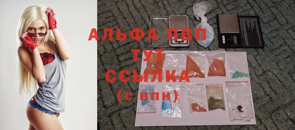 ПСИЛОЦИБИНОВЫЕ ГРИБЫ Покров